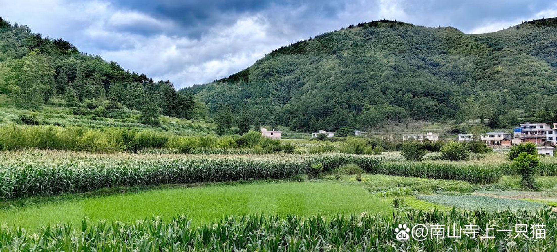 乡土食材——滋养生活的淳朴味道